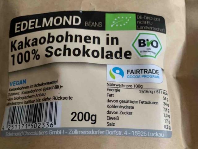 Kakaobohnen in 100% Schokolade von Eri11 | Hochgeladen von: Eri11