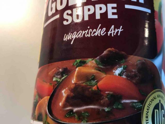 Gulasch Suppe, ungarische Art von Schmischy82 | Hochgeladen von: Schmischy82