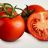 Tomaten JPB von BJP | Hochgeladen von: BJP