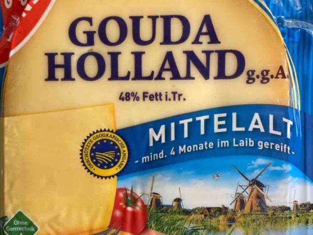 Gauda Holland mittelalt, 48% Fett I. Tr. von Flobelix | Hochgeladen von: Flobelix