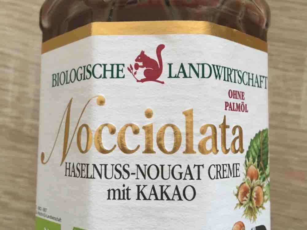 Nocciolata Nuss-Nougat-Aufstrich von LadyGilraen | Hochgeladen von: LadyGilraen