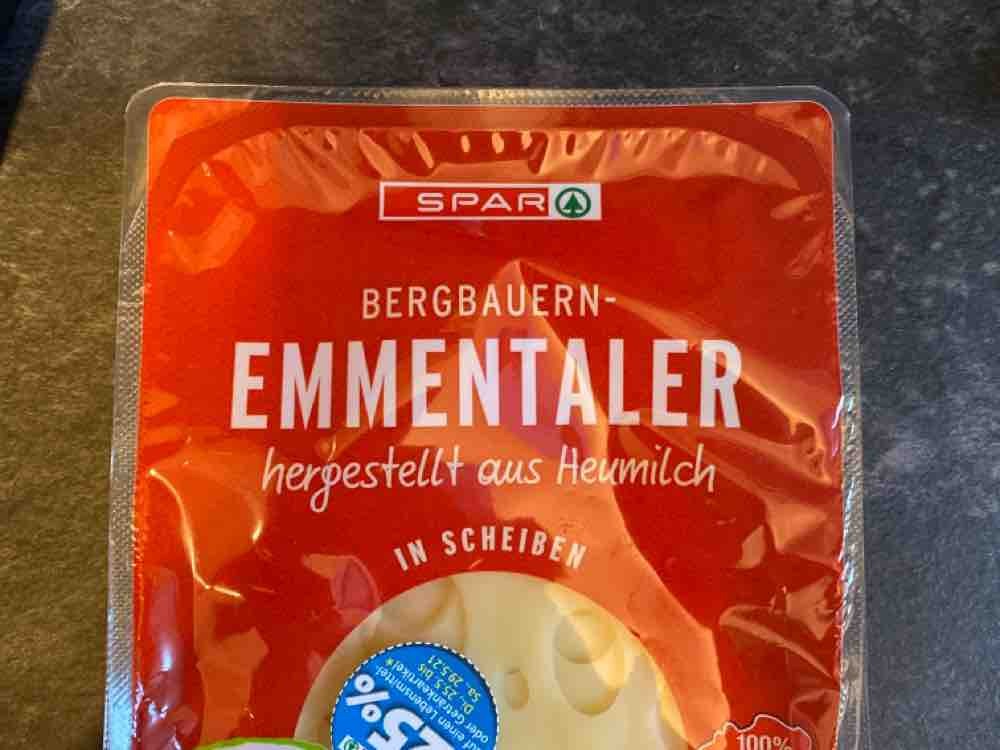 Bergbauern Emmentaler von mitzimi | Hochgeladen von: mitzimi