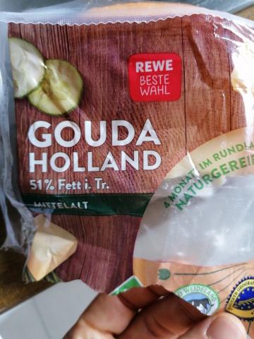 Gouda Holland, Mittelalt 48% Fett i. Tr. von Patrik Hannemann | Hochgeladen von: Patrik Hannemann
