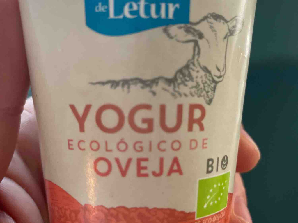 Yogur Ecologico de Oveja von AlexanderFritz | Hochgeladen von: AlexanderFritz