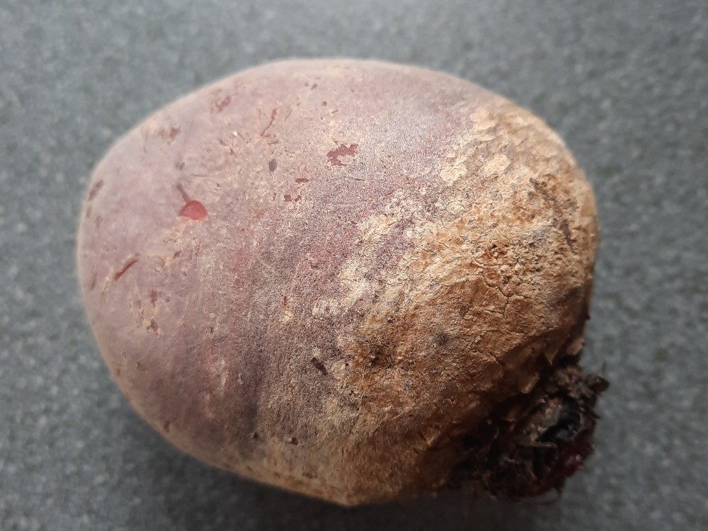 Hochgeladen von: MartinaGö