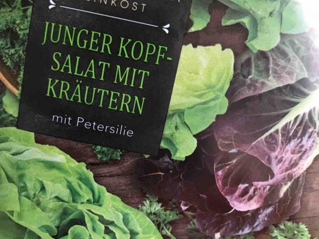 Junger Kopfsalat mit  Kräutern, Mit Petersilie von marc76 | Hochgeladen von: marc76