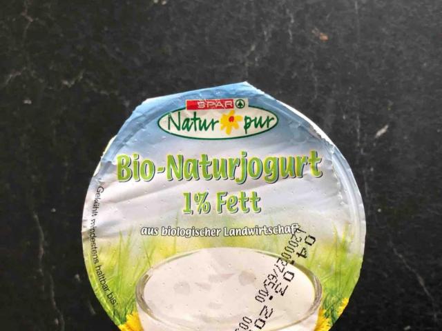 Bio-Naturjogurt von elenacuzma | Hochgeladen von: elenacuzma