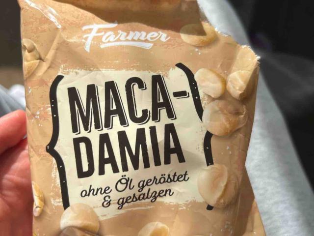 Macadamia, ohne Öl geröstet & gesalzen von phinho | Hochgeladen von: phinho