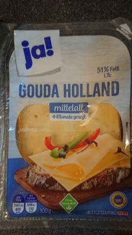 Gouda Holland Mittelalt, 51% Fett i., Tr. von Lepfitz | Hochgeladen von: Lepfitz