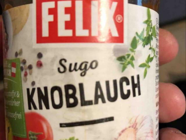 Sugo Knoblauch von AndiWalter | Hochgeladen von: AndiWalter