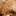 Crispy Chicken Burger von Naldo71 | Hochgeladen von: Naldo71