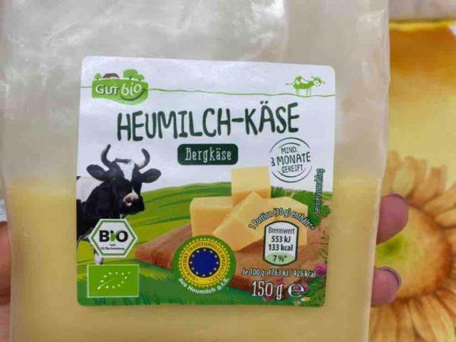 Heumilchkäse Gutbio, Bergkäse von charlyze99 | Hochgeladen von: charlyze99