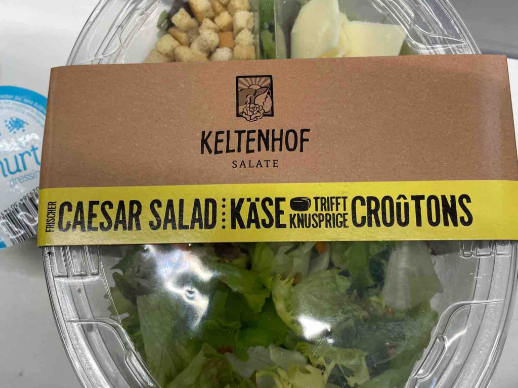 Keltenhof Salate, Caesar Salad von SchickoN | Hochgeladen von: SchickoN