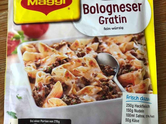 Bologneser Gratin von Maybe2284 | Hochgeladen von: Maybe2284