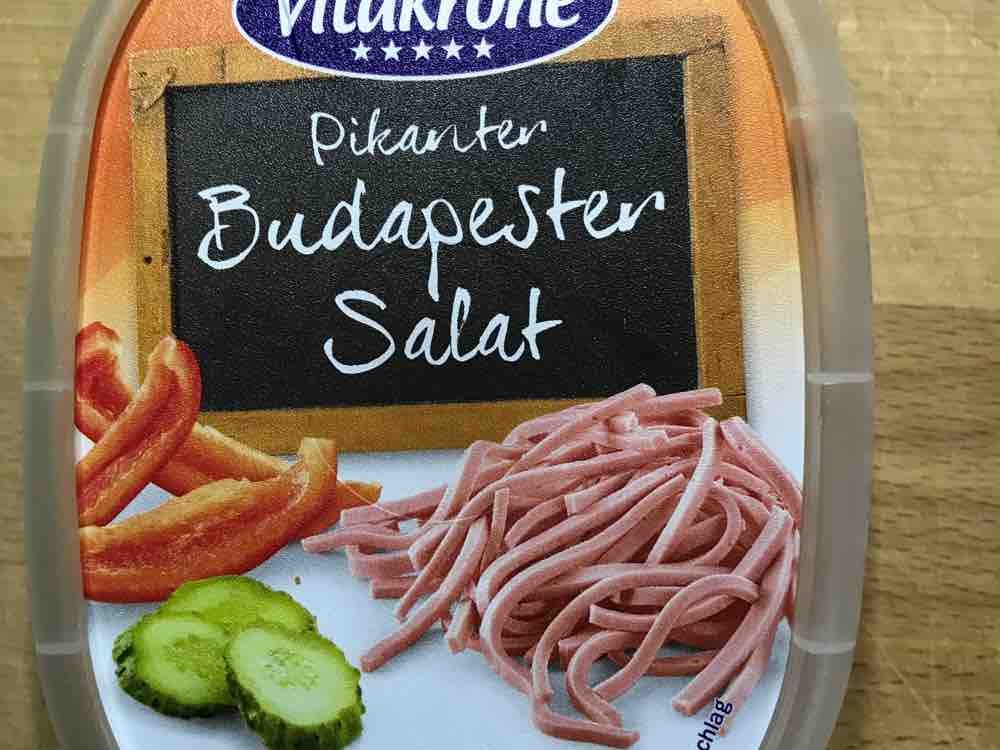 Pikanter Budspester Salat von TinCupNero | Hochgeladen von: TinCupNero