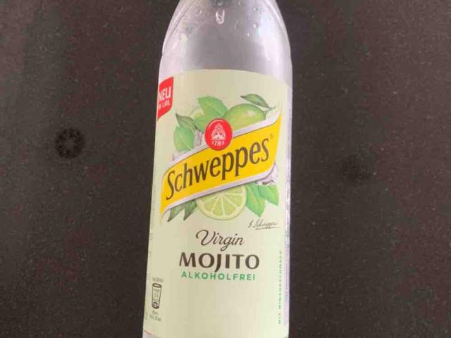 Schweppes Virgin Mojito - alkoholfrei von lernspatz | Hochgeladen von: lernspatz