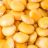 Lupine, roh von MBO2023 | Hochgeladen von: MBO2023