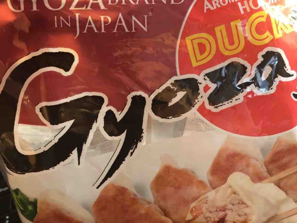 Niku Gyoza, jap. gebratene Teigtaschen mit Hackfleisch von vivar | Hochgeladen von: vivarain