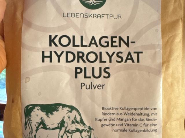 Kollagen Hydrolysat, 9 g Protein von flouki | Hochgeladen von: flouki Kollagen Hydrolysat, 9 g Protein von flouki | Hochgeladen von: flouki