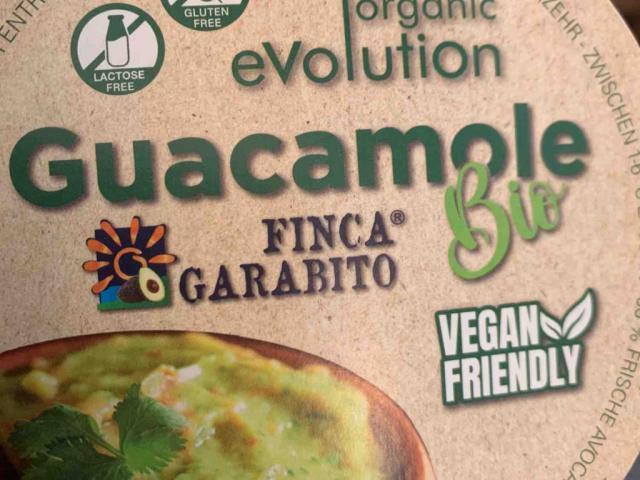 Guacamole bio., vegan friendly von Susitch | Hochgeladen von: Susitch