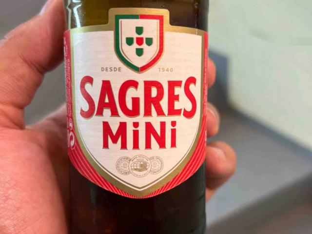 sagres mini by loudelavega | Uploaded by: loudelavega