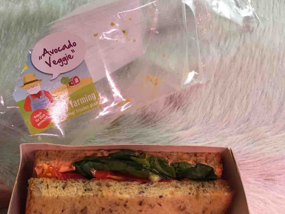 avocado Veggie, sandwich von jenniwohlgemuth808 | Hochgeladen von: jenniwohlgemuth808