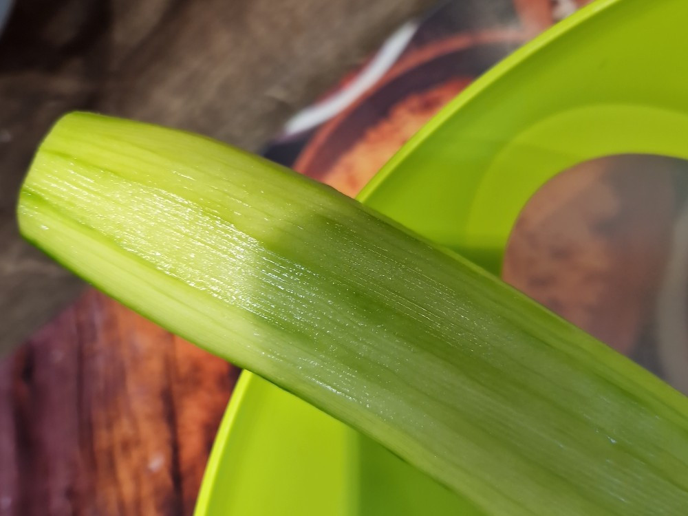 Hochgeladen von: PocoLocoBo