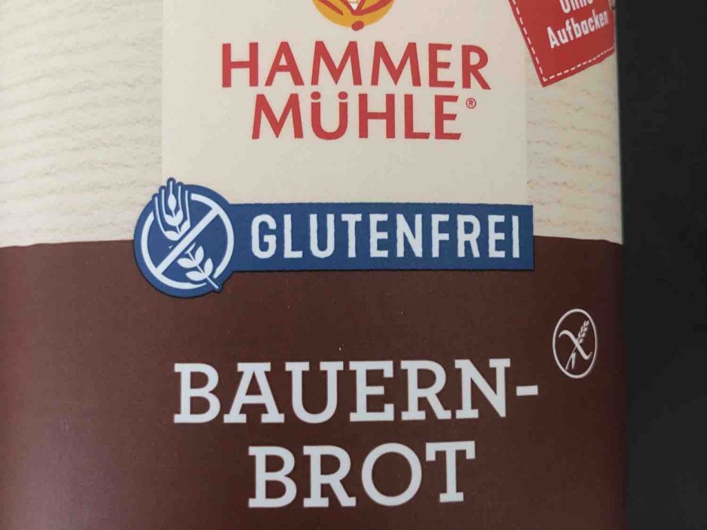 Bauernbrot, glutenfrei von TheQ2020 | Hochgeladen von: TheQ2020