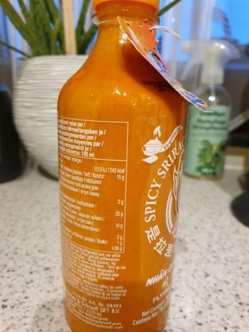 Spicy Sriracha Mayo Sauce von patrickkumanovi786 | Hochgeladen von: patrickkumanovi786