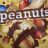 Choceur Peanuts von SallyvanSale | Hochgeladen von: SallyvanSale