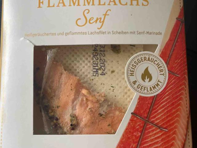 flammlachs, Senf von carmohenninger | Hochgeladen von: carmohenninger