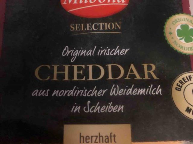 Cheddar, herzhaft von Chris2020 | Hochgeladen von: Chris2020