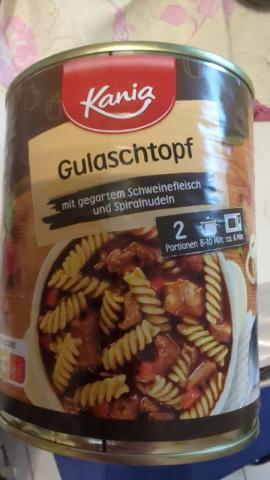 Gulaschtopf, mit gegartem Schweinefleisch und Spiralnudeln von N | Hochgeladen von: Nicky376