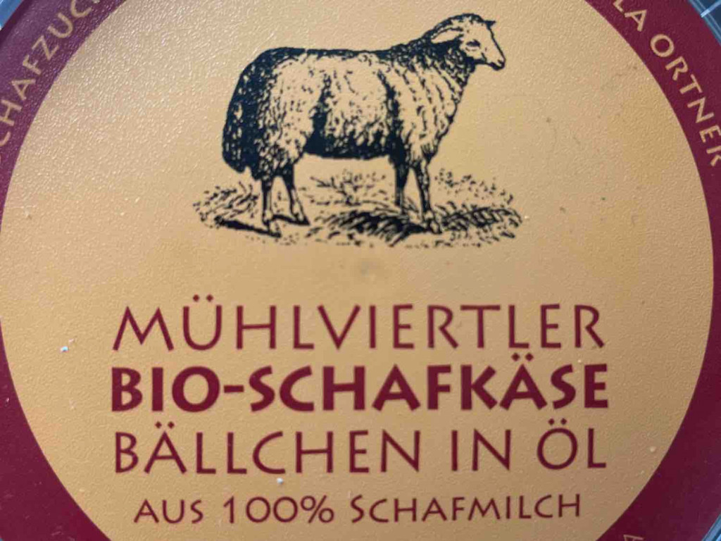 Mühlviertler Bio-Schafkäse in Öl von bps7 | Hochgeladen von: bps7