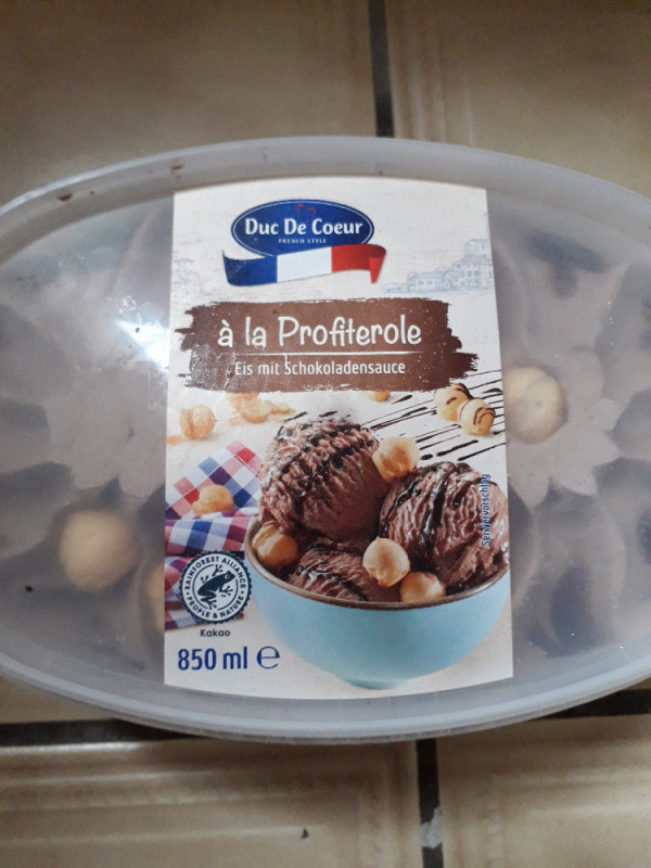 Eis mit Schokoladensauce, à la Profiterole von lydiakaro | Hochgeladen von: lydiakaro
