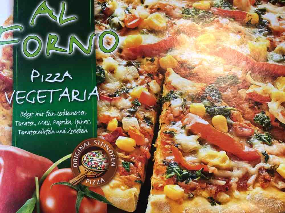 Al Forno, Pizza Vegetaria von motorrad | Hochgeladen von: motorrad