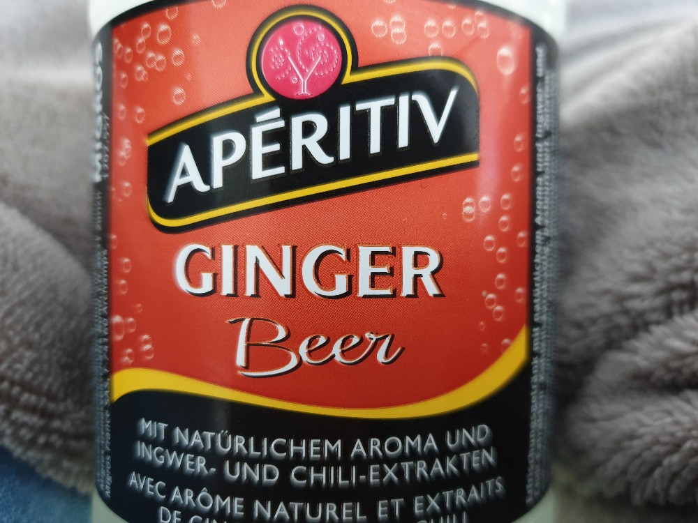 Ginger Beer, Alkoholfrei von moniwyss83774 | Hochgeladen von: moniwyss83774