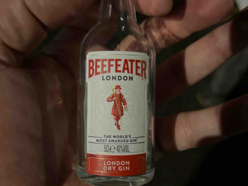 Beefeater London Dry Gin von fiki | Hochgeladen von: fiki