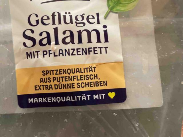 Geflügel Salami, mit Pflanzenfett von Manolo01 | Hochgeladen von: Manolo01