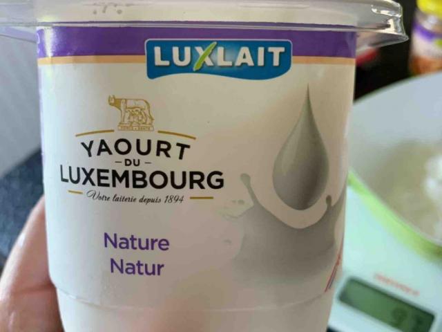 Yoghurt pro-DIGE 3,5% von husssally | Uploaded by: husssally