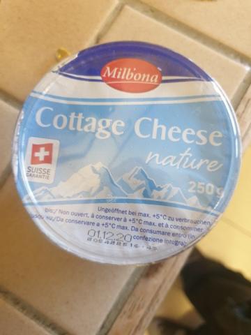 Cottage Cheese, Magermilch von Sheyshar | Hochgeladen von: Sheyshar
