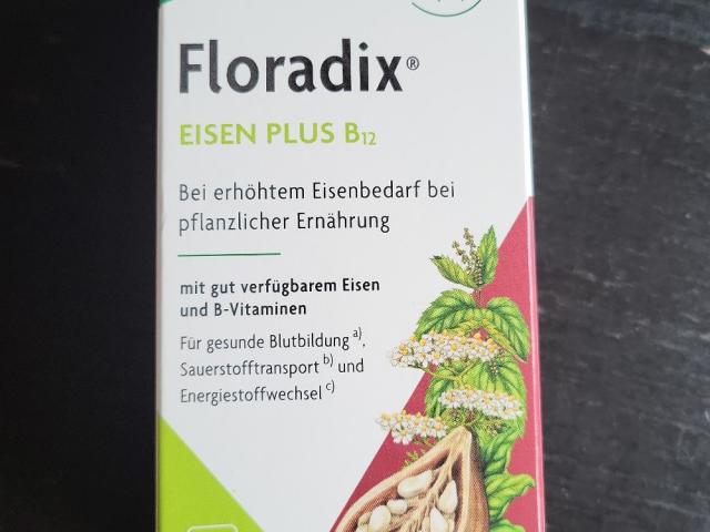 Floradix Eisen Plus B12, Kapseln von Monaja | Hochgeladen von: Monaja