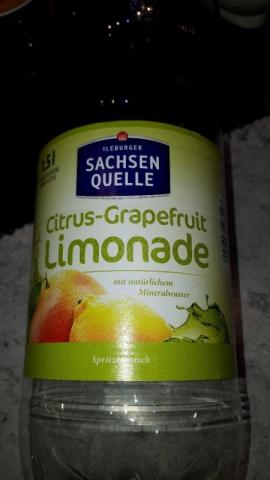 Citrus-Grapefruit Limonade von herrmeline | Hochgeladen von: herrmeline