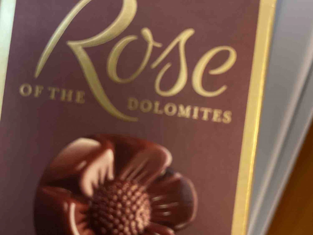 Rose of the Dolomites, white von stef161 | Hochgeladen von: stef161