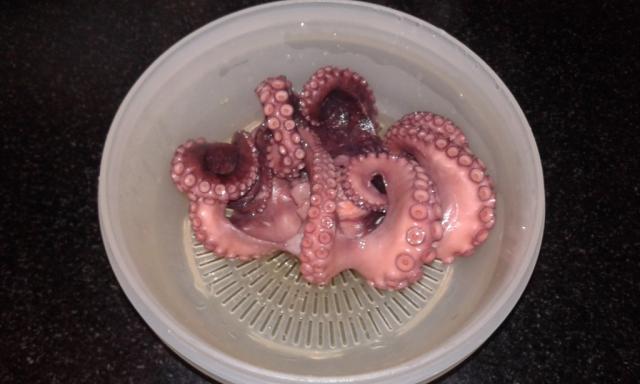 Ganzer Octopus | Hochgeladen von: Misio