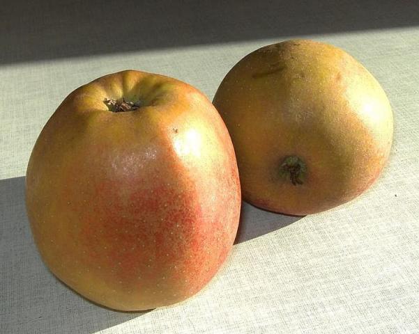 Hochgeladen von: Meleana