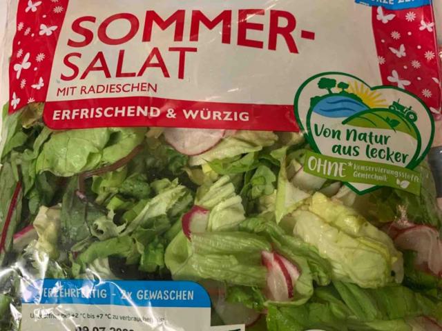 Sommer-Salat, mit Radieschen von JaySpee | Hochgeladen von: JaySpee