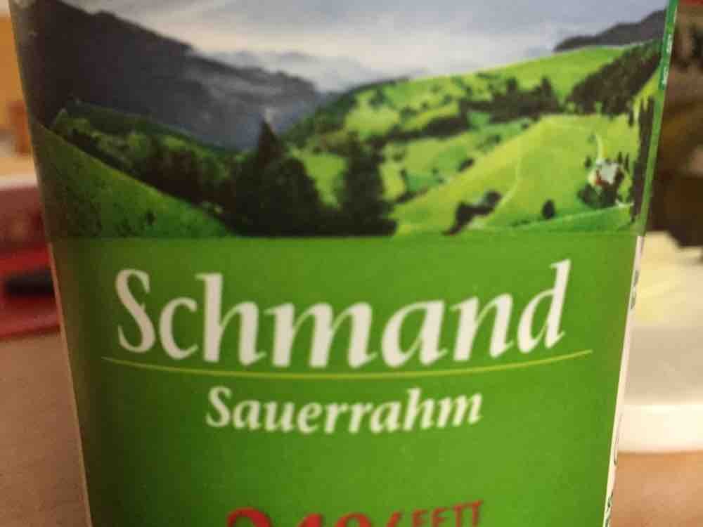 Schmand / Sauerrahm, 24% Fett von Selandia | Hochgeladen von: Selandia