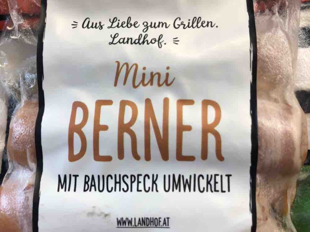 Mini Berner mit Bauchspeck umwickelt von Inken | Hochgeladen von: Inken