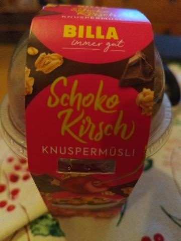 Schoko Kirsch Knuspermüsli von Lauzi5 | Hochgeladen von: Lauzi5